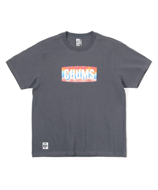 CHUMS Logo Stars and Stripes T-Shirt